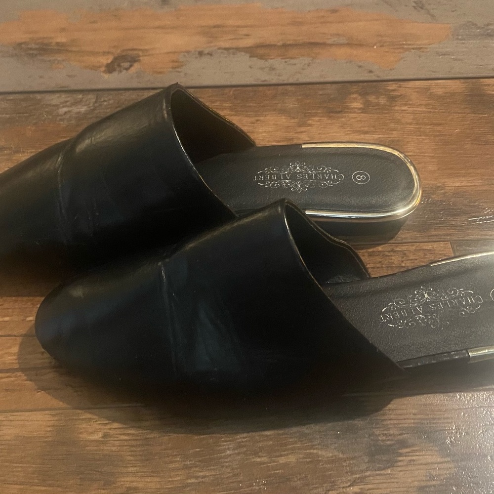 Charles Albert Black Mules Minimalist Design